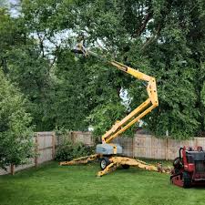 Best Tree Risk Assessment  in Tyrone, OK