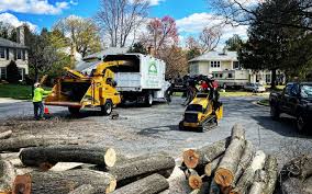 Best Fruit Tree Pruning  in Tyrone, OK
