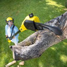 Best Hedge Trimming  in Tyrone, OK
