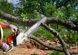 Best Lawn Grading and Leveling  in Tyrone, OK