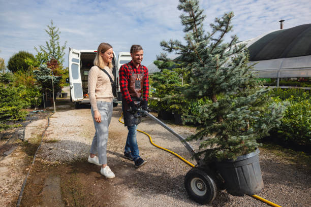 Best Tree Disease Treatment  in Tyrone, OK